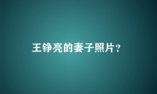 王铮亮的妻子照片？