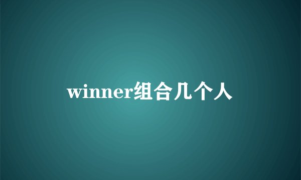 winner组合几个人