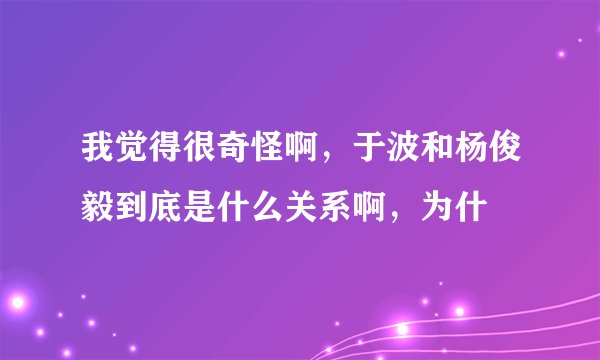 我觉得很奇怪啊，于波和杨俊毅到底是什么关系啊，为什