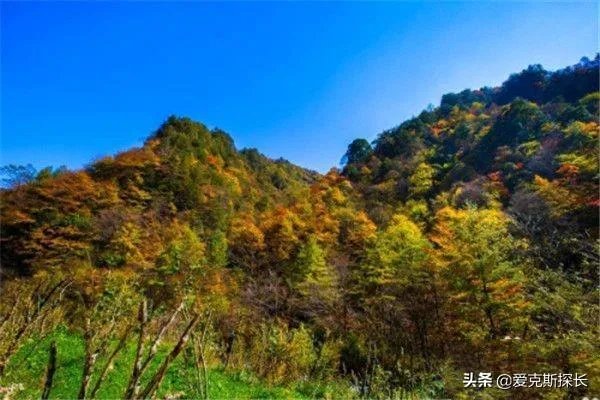 神农架旅游一定要去的8个景点?