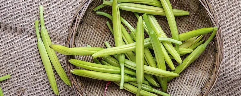 鲜黄花菜中含有的毒素是什么 鲜黄花菜中含有的毒素到底是什么