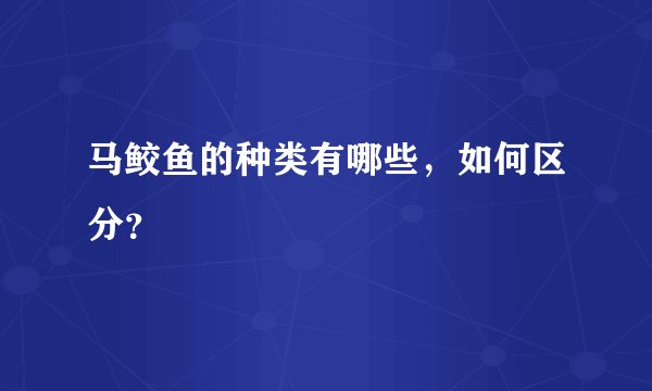 马鲛鱼的种类有哪些，如何区分？