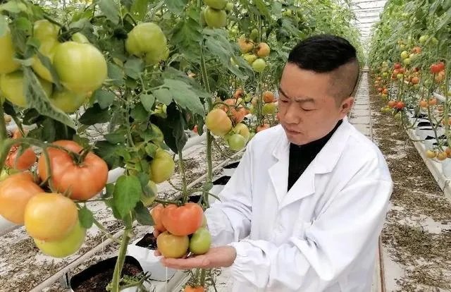 国家级现代农业示范区的标准?