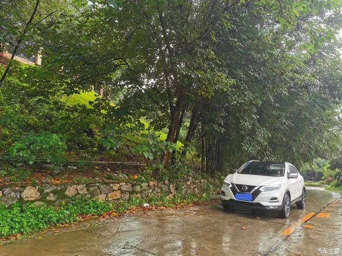 少无适俗韵,性本爱丘山,记逍客的雨林之行!