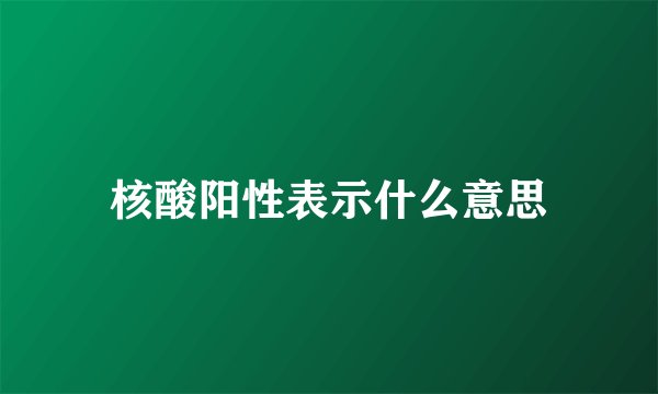 核酸阳性表示什么意思