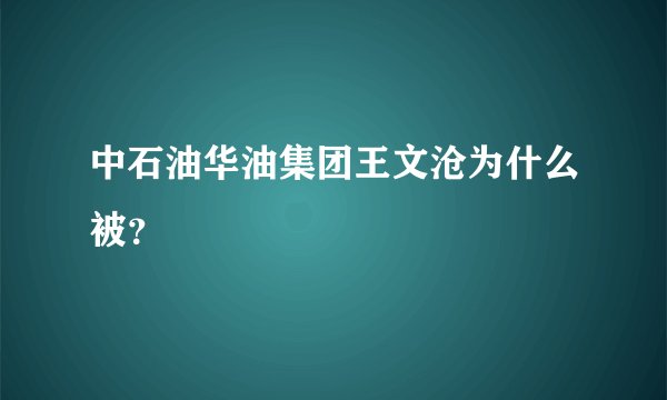 中石油华油集团王文沧为什么被？