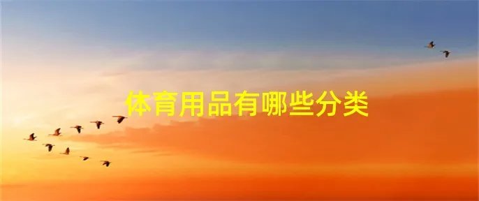 体育用品有哪些分类