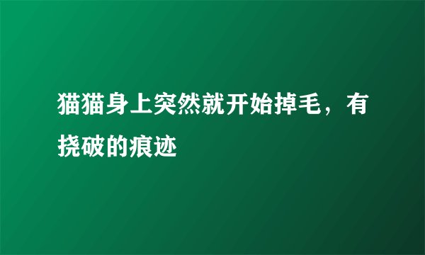 猫猫身上突然就开始掉毛，有挠破的痕迹