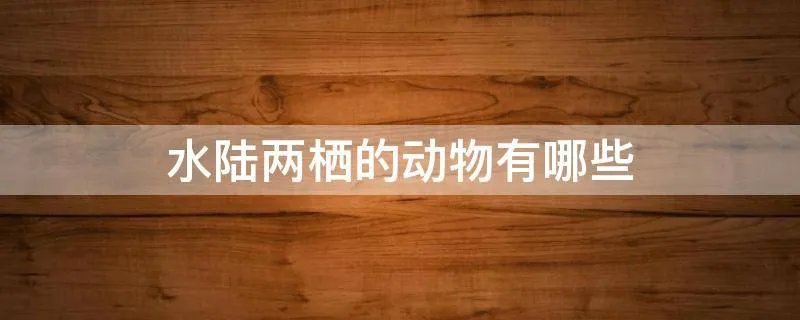 水陆两栖的动物有哪些