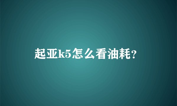 起亚k5怎么看油耗?