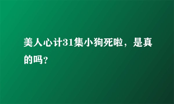 美人心计31集小狗死啦,是真的吗?