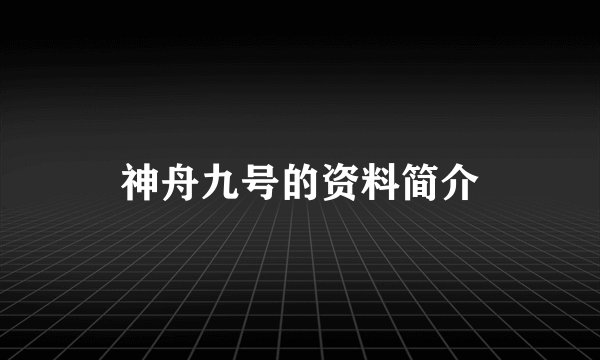 神舟九号的资料简介