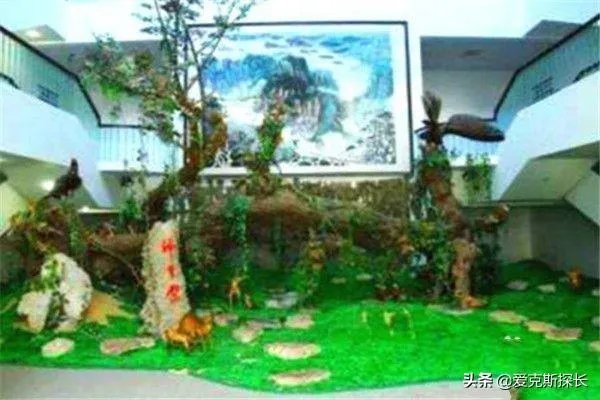 神农架旅游一定要去的8个景点?