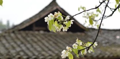 公历4月4日或4月5日是什么节