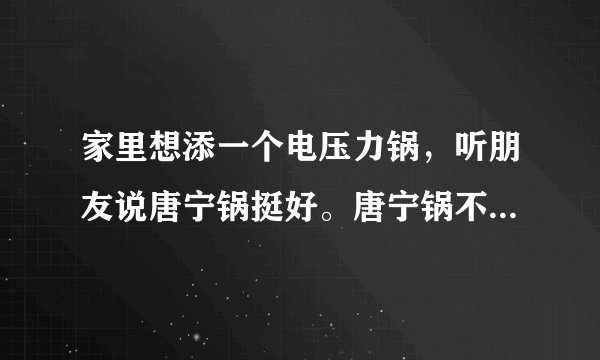 家里想添一个电压力锅，听朋友说唐宁锅挺好。唐宁锅不就是电压力锅么？难道有什么不同？