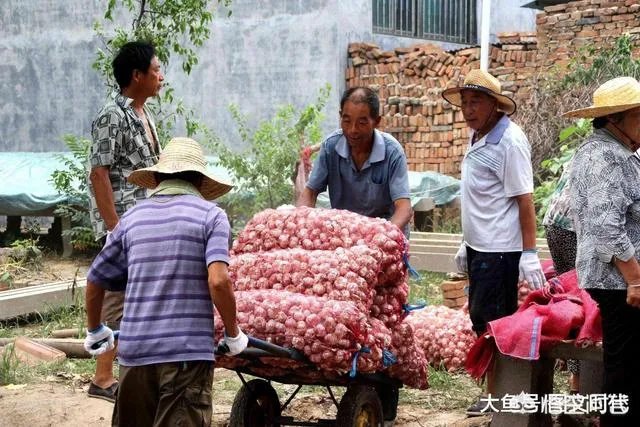 大蒜降价了
