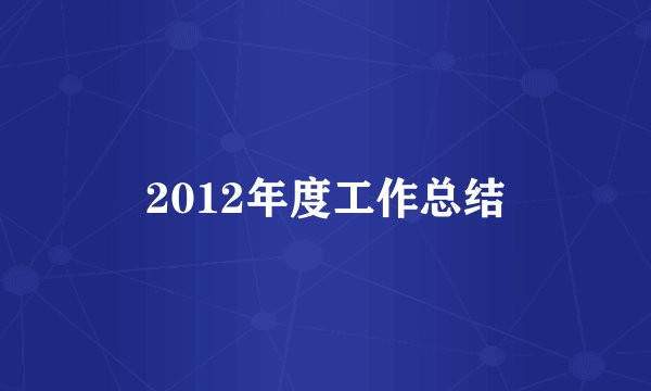 2012年度工作总结