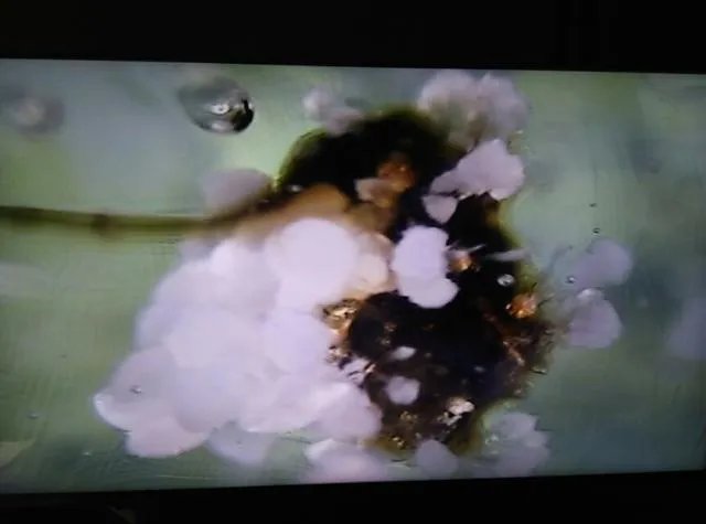 宇宙四大未解谜团是什么?