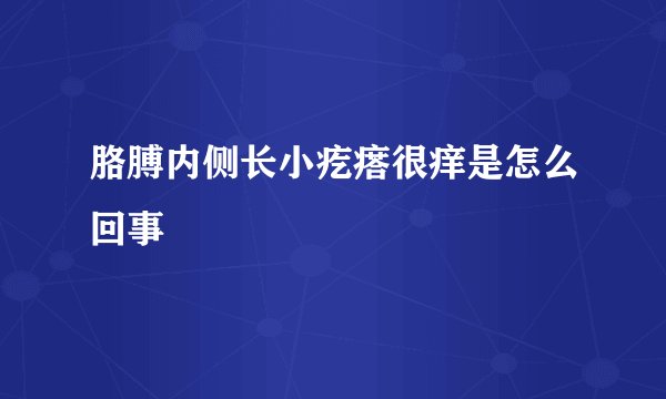 胳膊内侧长小疙瘩很痒是怎么回事
