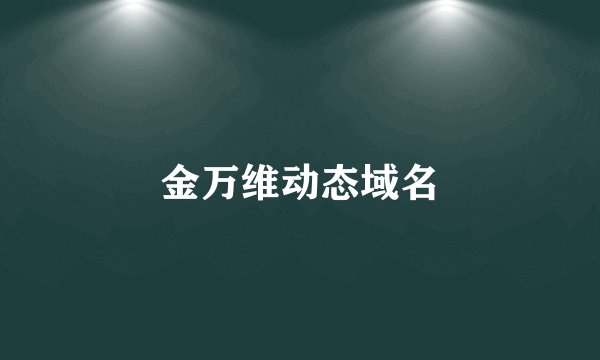 金万维动态域名