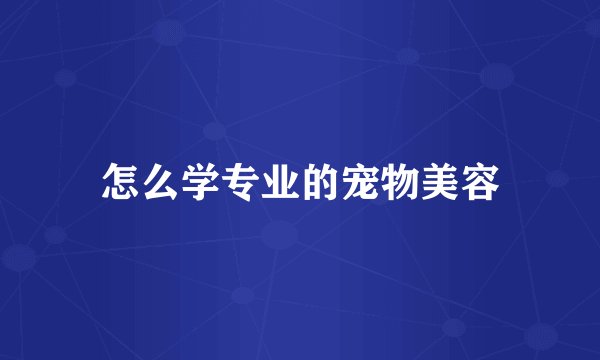 怎么学专业的宠物美容