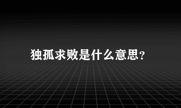 独孤求败是什么意思？