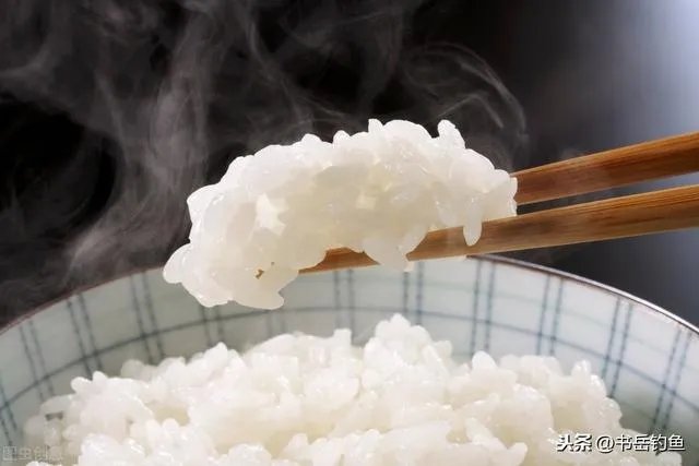 用剩下的大米饭如何能做出来鱼诱饵?