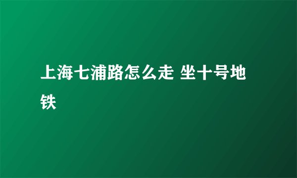 上海七浦路怎么走 坐十号地铁
