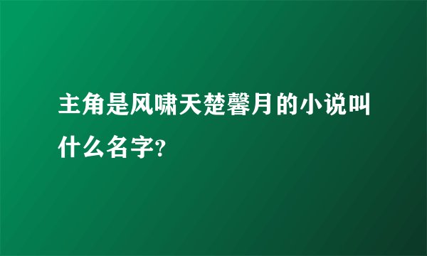 主角是风啸天楚馨月的小说叫什么名字？