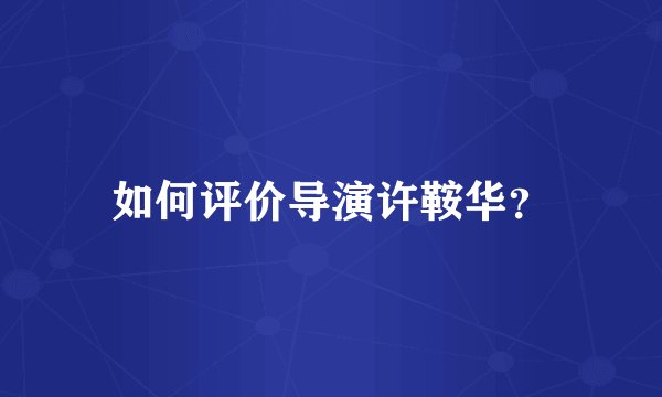 如何评价导演许鞍华？
