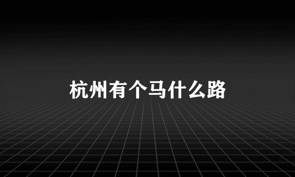 杭州有个马什么路