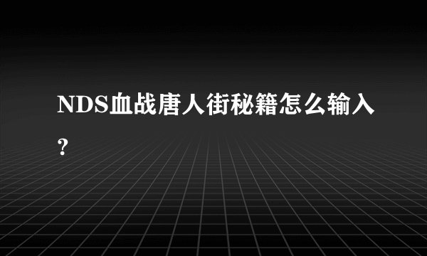 NDS血战唐人街秘籍怎么输入?