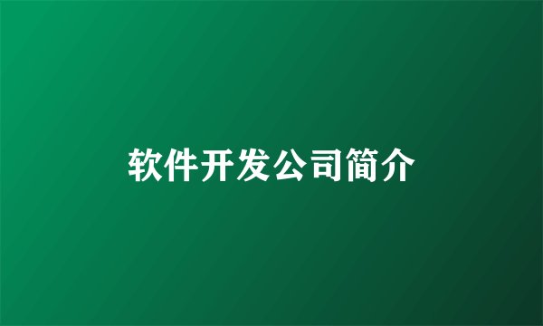 软件开发公司简介