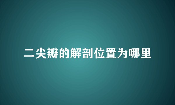二尖瓣的解剖位置为哪里