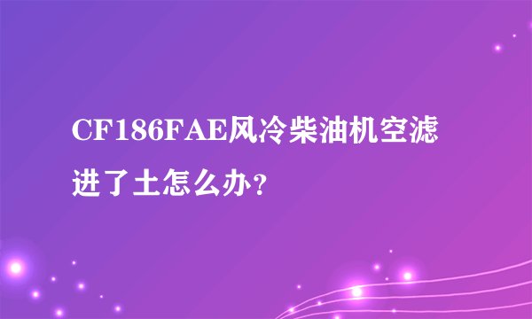 CF186FAE风冷柴油机空滤进了土怎么办？