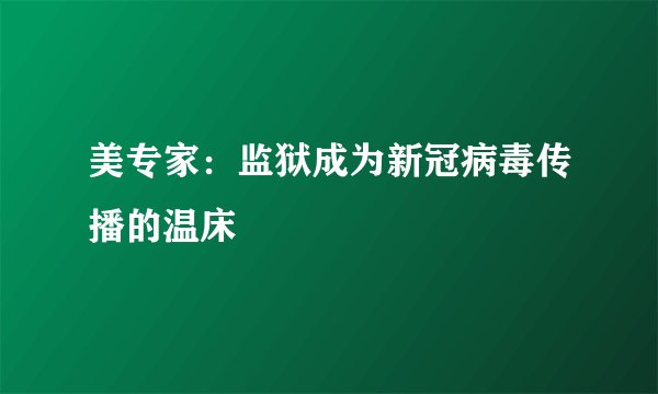 美专家：监狱成为新冠病毒传播的温床