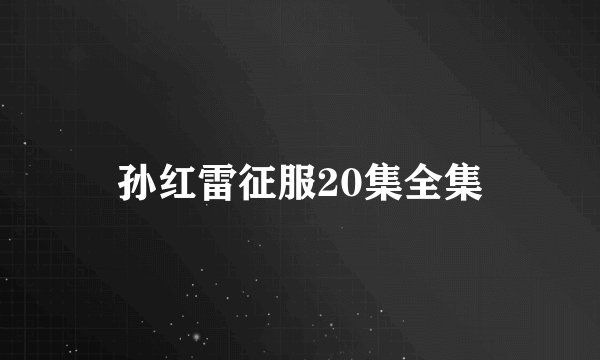 孙红雷征服20集全集