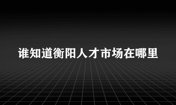 谁知道衡阳人才市场在哪里