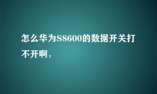 怎么华为S8600的数据开关打不开啊,