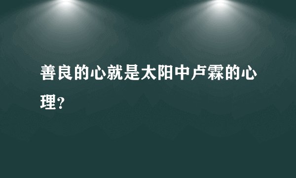 善良的心就是太阳中卢霖的心理？