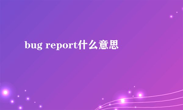 bug report什么意思