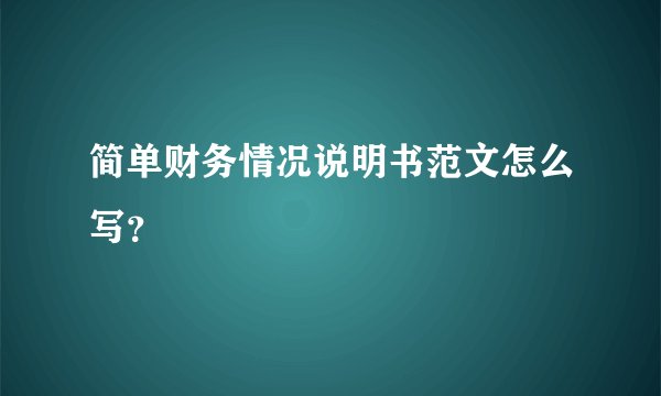 简单财务情况说明书范文怎么写？