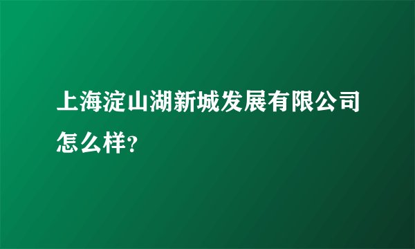 上海淀山湖新城发展有限公司怎么样?