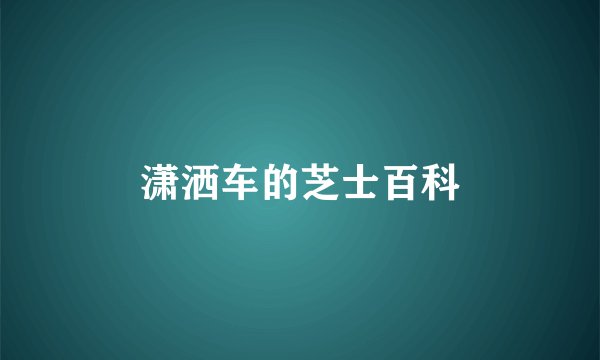潇洒车的芝士百科
