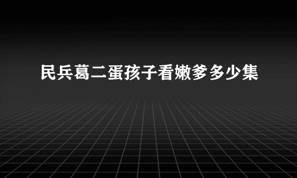 民兵葛二蛋孩子看嫩爹多少集