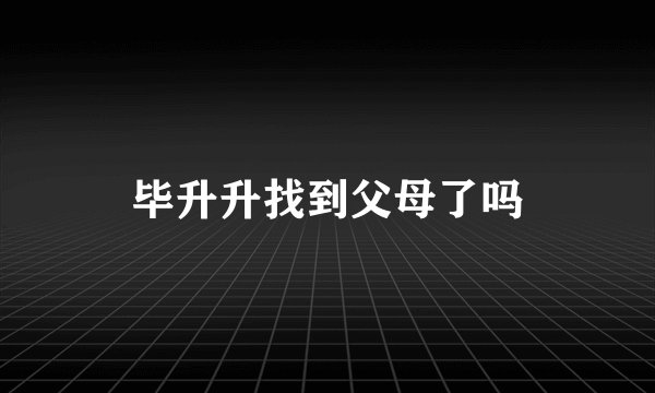 毕升升找到父母了吗