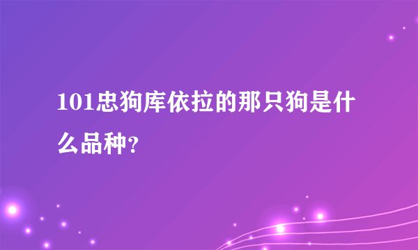 101忠狗库依拉的那只狗是什么品种？