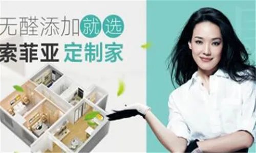 广东整体衣柜招商加盟前景如何 广东整体衣柜品牌推荐