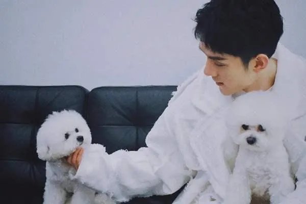 李佳琦带爱犬去宠物学校学习期间被拍到抽烟,大家如何看待?