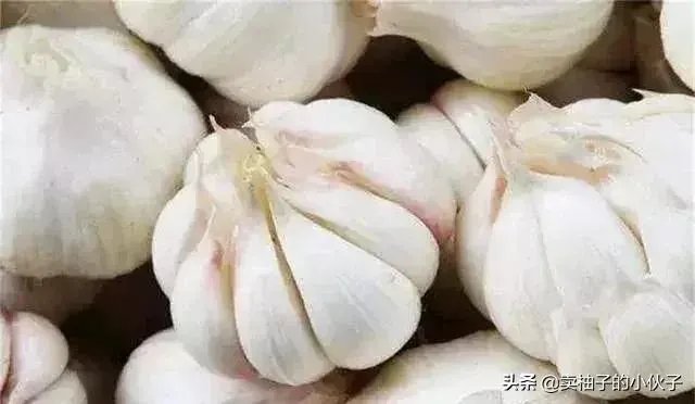 大蒜降价了
